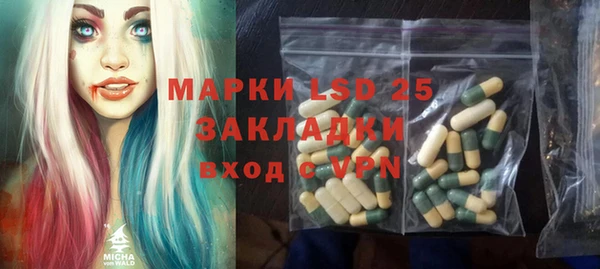мяу мяу мука Аркадак